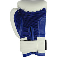 Тренировочные перчатки Rusco Sport 6 oz (белый/синий)