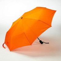 Складной зонт Colorissimo Cambridge US20 (оранжевый)