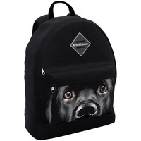 Школьный рюкзак Erich Krause EasyLine 17L Black Dog 60324