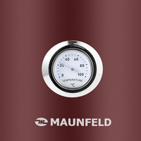 Электрический чайник MAUNFELD MFK-624CH