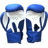 Перчатки для бокса Realsport Ring 10 Oz (синий)