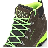 Ботинки Alpine Pro Illimani (зеленый)