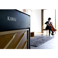 Цифровое пианино Kawai CA95
