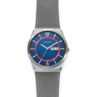 Наручные часы Skagen SKW6503