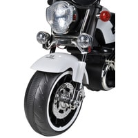 Электротрицикл Farfello DLS01 (белый)
