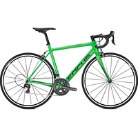 Велосипед Focus Izalco Race Ultegra (зеленый, 2018)