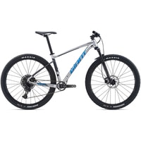 Велосипед Giant Fathom 29 2 L 2020 (серебристый)