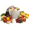 Сушилка для овощей и фруктов Ezidri Snackmaker FD500