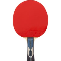 Ракетка для настольного тенниса TORNEO Tour Plus TI-B3000