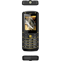 Кнопочный телефон TeXet TM-520R (черный-золотистый)