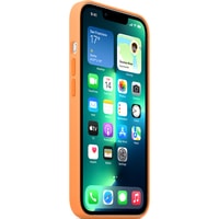 Чехол для телефона Apple MagSafe Silicone Case для iPhone 13 Pro (весенняя мимоза)