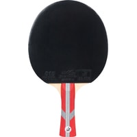 Ракетка для настольного тенниса TORNEO Competition TI-B1000