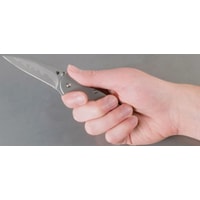 Складной нож Kershaw 1660CB Leek