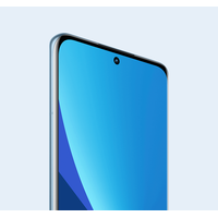 Смартфон Xiaomi 12X 12GB/256GB китайская версия (синий)