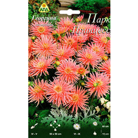 Семена цветов АПД Георгина кактусовая Парк Принцесс (1 луковица)