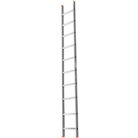 Лестница LadderBel 10 ступеней [LS 110]