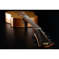 Акустическая гитара LAG Tramontane 170 T170D