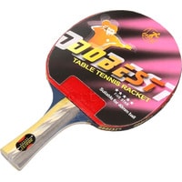Ракетка для настольного тенниса Dobest BR01 (5 звезд)