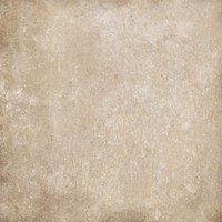 Клинкерная плитка Cerrad Cottage Salt 300x300 [2426]