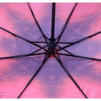 Складной зонт Zemsa 12-005