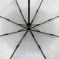 Складной зонт Fabretti S-20215-2