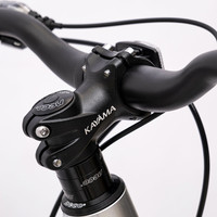 Велосипед Kayama Neo 29 р.21 2024 (серый)