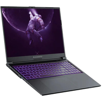 Игровой ноутбук Machenike S16 S16-i712700H30606GQ165HGMD0R1