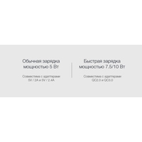 Беспроводное зарядное Xiaomi Wireless Charger WPC01ZM (черный)