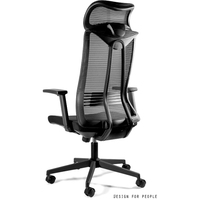 Кресло UNIQUE Concept CM-B253AS-1 (черный)