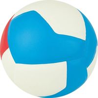 Волейбольный мяч Gala School 12 BV 5715 S (размер 5, белый/красный/голубой)