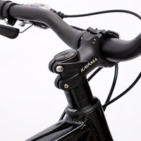 Велосипед Kayama Neo 29 р.21 2024 (черный)