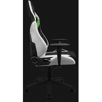 Кресло ThunderX3 XC3 (черный/зеленый/белый)