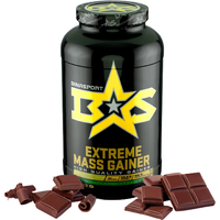 Протеин сывороточный (концентрат) Binasport Extreme Mass Gainer (1500г, шоколад)