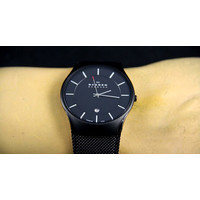 Наручные часы Skagen 956XLTBB