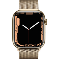 Умные часы Apple Watch Series 7 LTE 45 мм (сталь золото/миланский золотой)