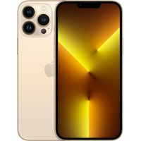Смартфон Apple iPhone 13 Pro Max 1TB (золотой)