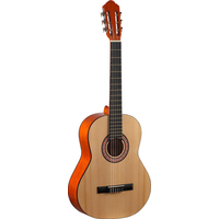 Акустическая гитара Homage LC-3910