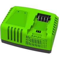 Зарядное устройство Greenworks G40UC4 (40В)