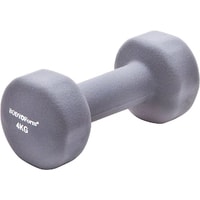 Гантель Body Form BF-DN01 4 кг
