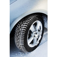 Зимние шины Ikon Tyres WR D3 225/60R16 102V