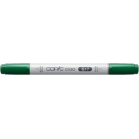 Маркер перманентный Copic Ciao G-17 2207523 (лесной зеленый)