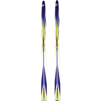 Беговые лыжи Atemi Arrow 190 (NNN, wax, синий)