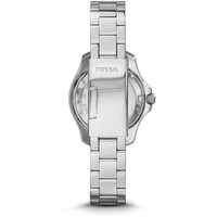 Наручные часы Fossil AM4576
