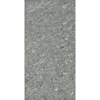 Керамогранит (плитка грес) Grasaro G-610/PR Серый 600x300