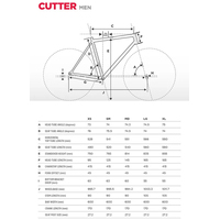 Велосипед Schwinn Cutter L 2022 S31100M10LG
