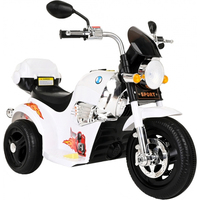 Электротрицикл Pituso X-818 (белый)