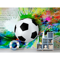 Фотообои ФабрикаФресок Футбольный мяч с красками 734270 (400x270)