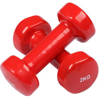 Набор гантелей Indigo 92005 IR 2x2 кг (красный)