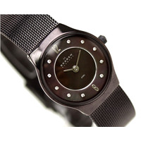 Наручные часы Skagen 233XSMM