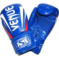 Перчатки для бокса Zez ZTQ-117-14 (синий)